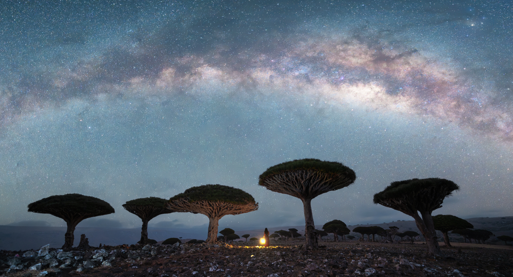 Milky Way over dragon blood trees