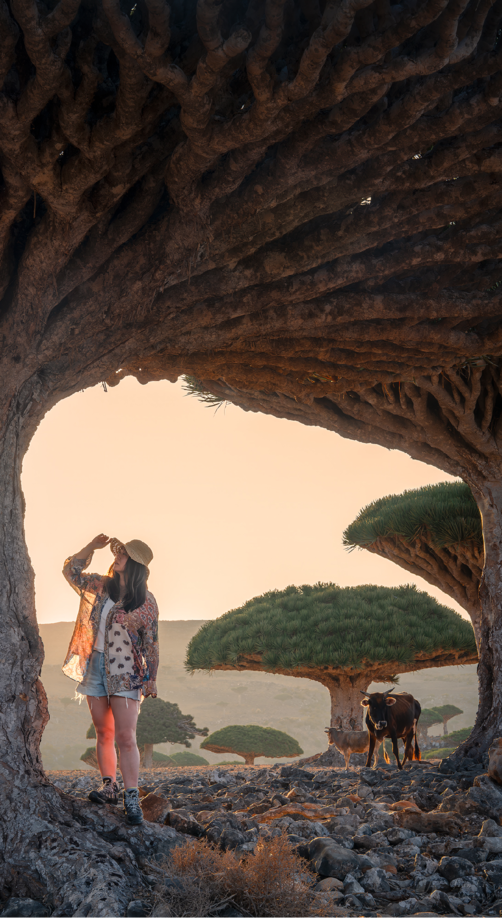 Photographer at dragon blood tree arch